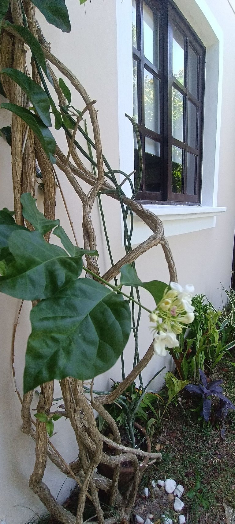 Beautiful 2 stories holiday home with Ocean & Forest View