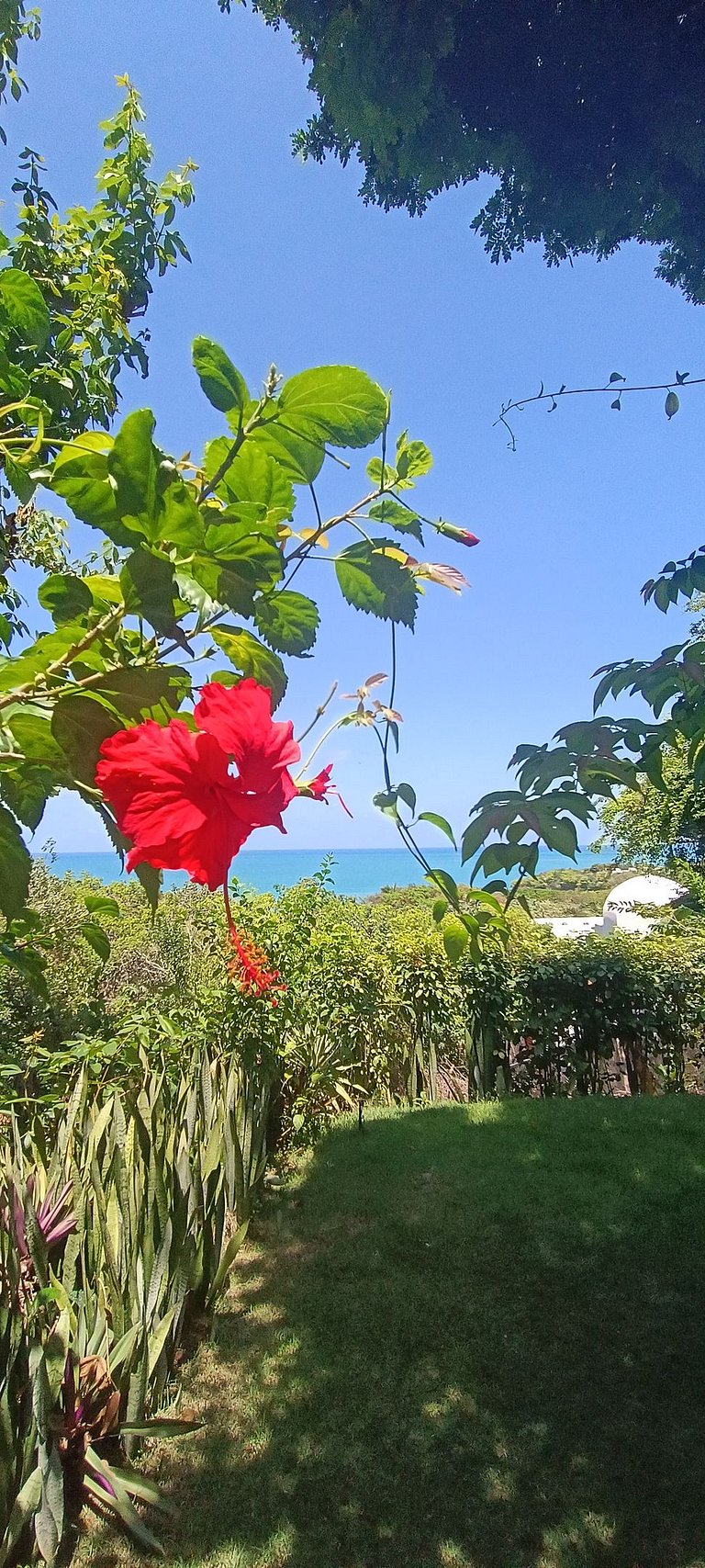 Beautiful 2 stories holiday home with Ocean & Forest View