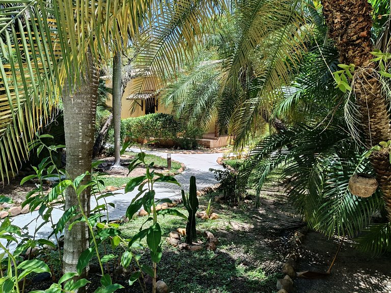 House Girassois / 3 Bedrooms / Praia do Amor